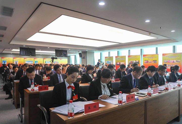 党建引领添活力 凝心聚力促发展 yy易游mile第一次党员代表大会召开